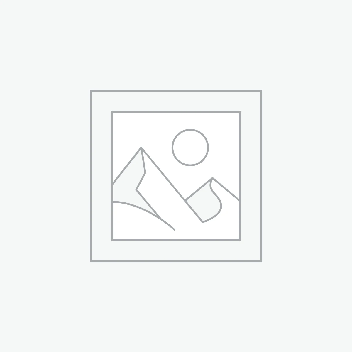 Auto Bidding (Proxy)
